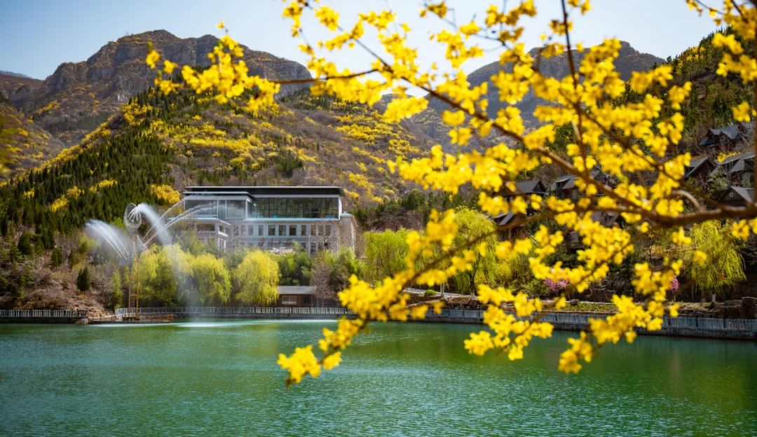 灼言｜创新融合“乐宿 ”，山东文旅“节节高”