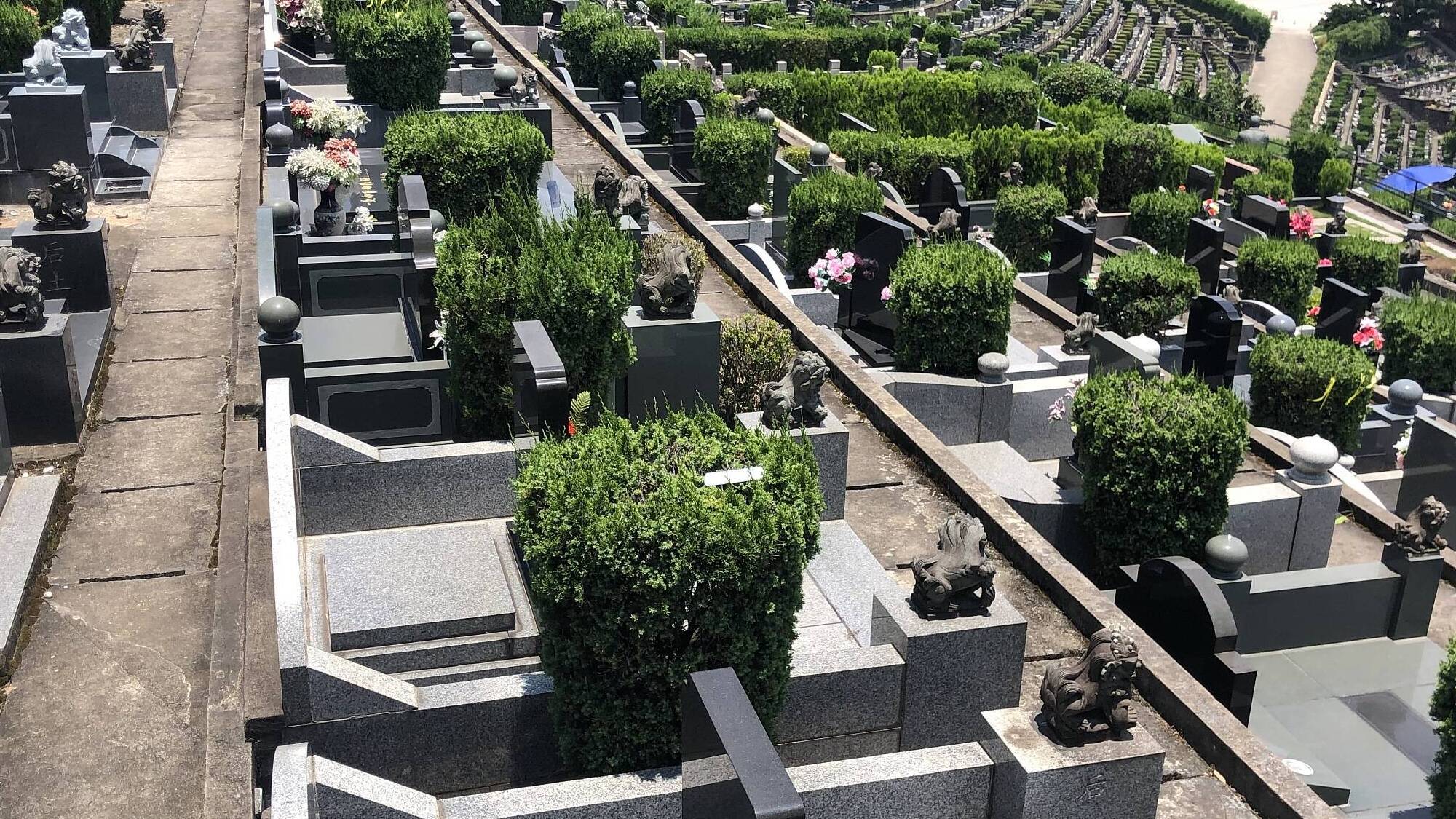 系列评论“时时放心不下”⑤｜文明祭扫 防火为先