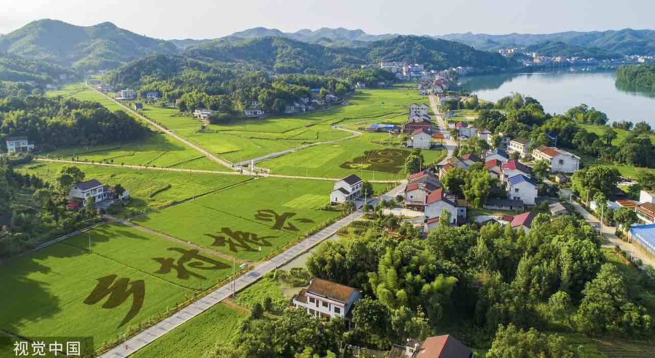 灼言丨项目建设“加速度” 乡村振兴“赋新能”