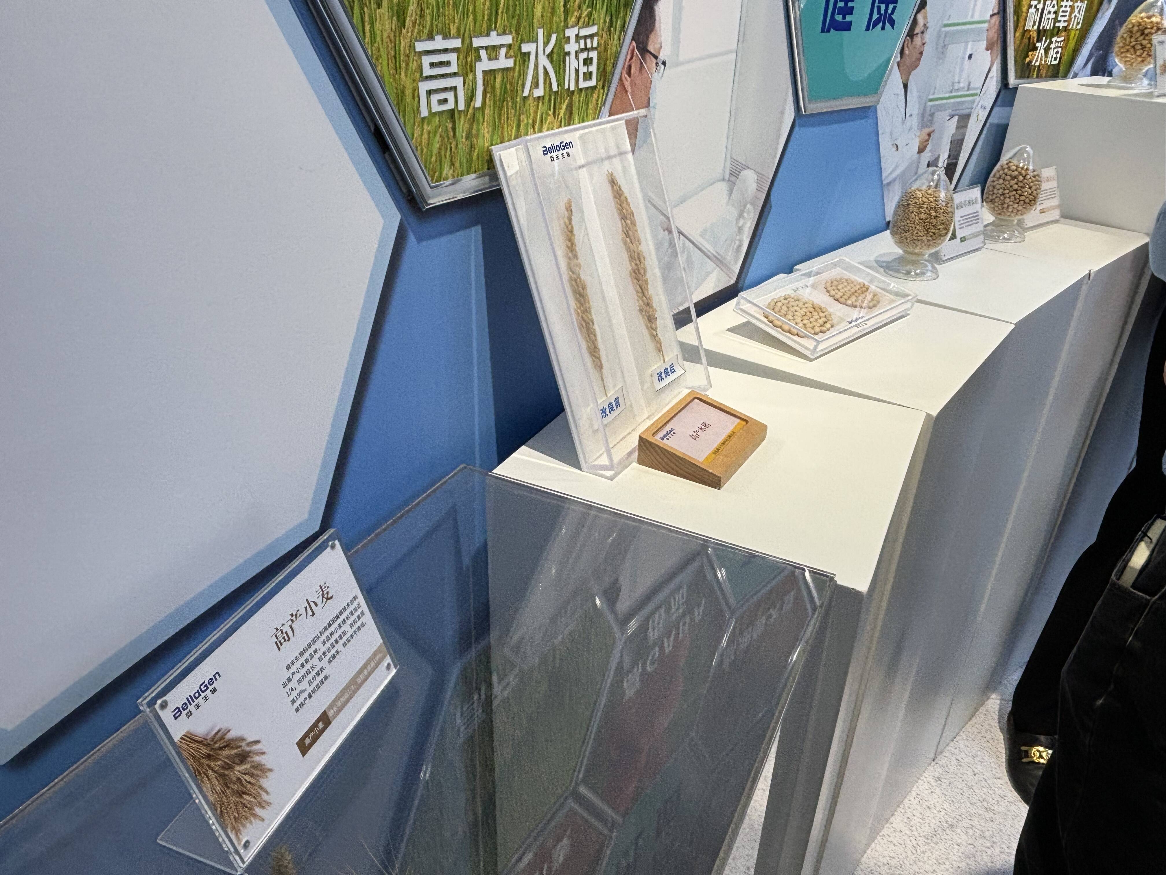 “边走边评”系列评论①丨创新扎下深根 产业向上生长