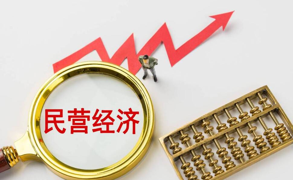 闪电评论丨打好组合拳、塑造新优势，让民营经济成为高质量发展的硬核力量