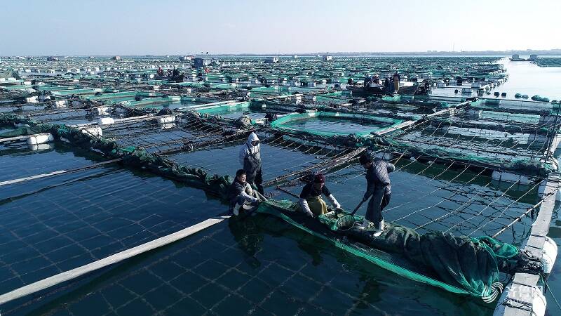 闪电评论｜齐鲁大地奏响海洋强国建设的《山海渔歌》